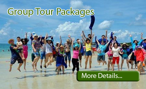 LTC tour package to Andaman