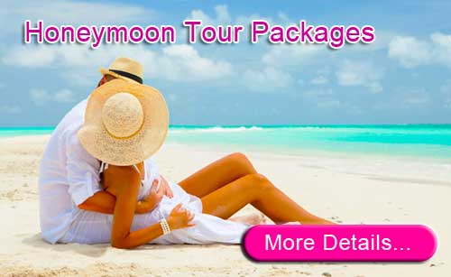 Honeymoon tour package to Andaman