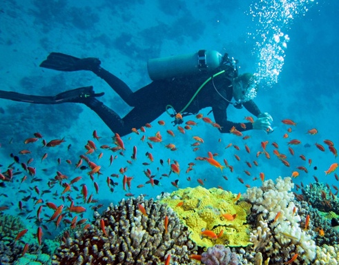 Scuba Diving