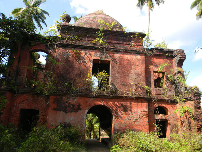 Viper Island